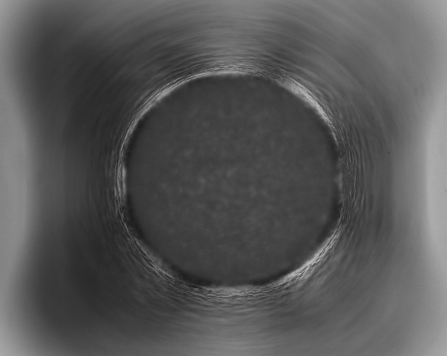 X0000096980781200802081406