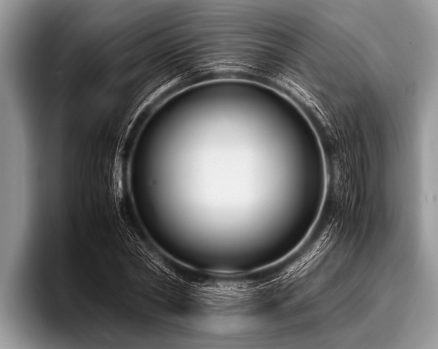 X0000096980782200802081406