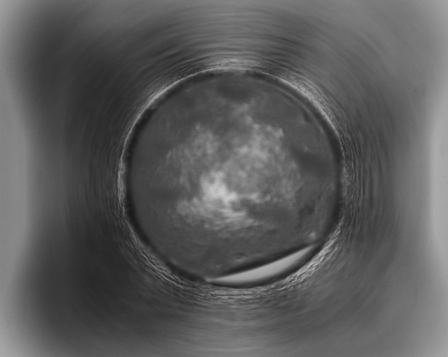 X0000096980783200802081406