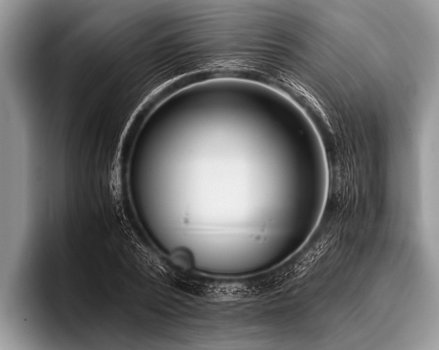 X0000096980784200802081406