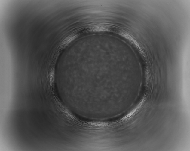 X0000096980785200802081406