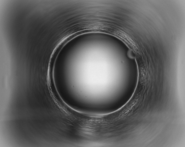 X0000096980788200802081406