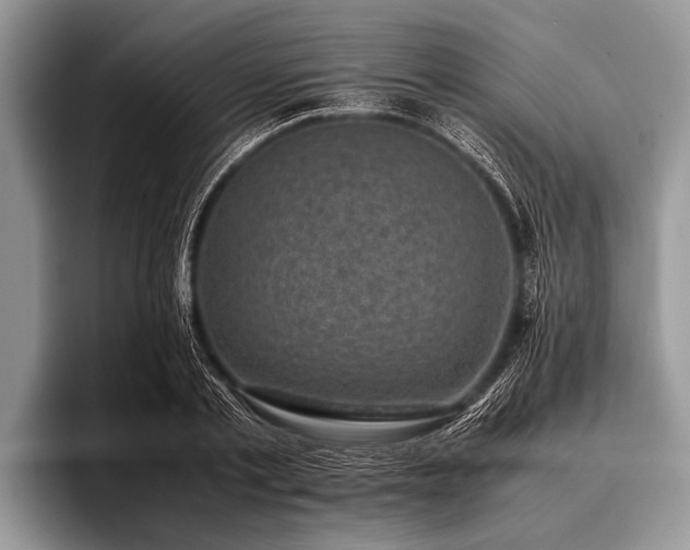 X0000096980789200802081406