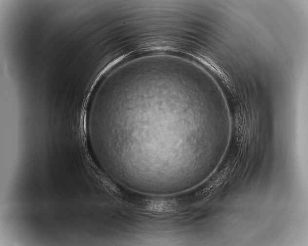 X0000096980790200802081406