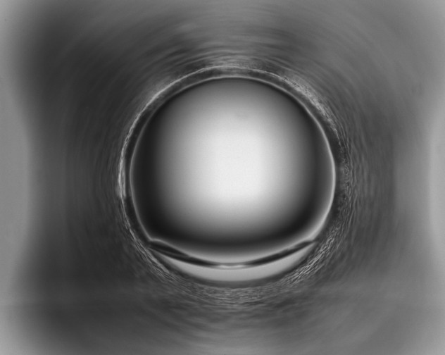 X0000096980791200802081406