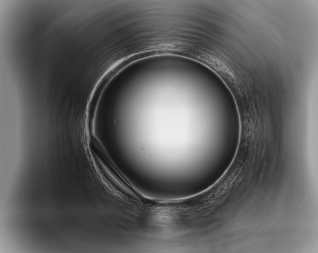 X0000096980792200802081406