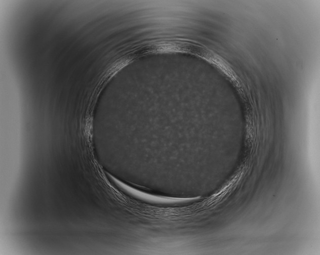 X0000096980793200802081406