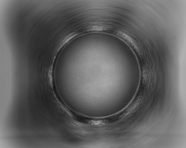 X0000096980794200802081406