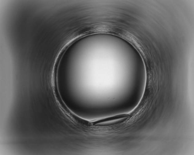 X0000096980795200802081406