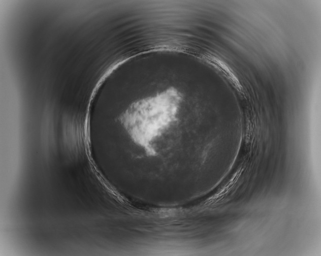 X0000096980796200802081406