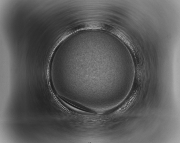 X0000096980797200802081406