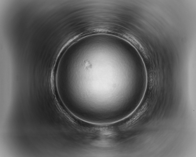 X0000096980798200802081406