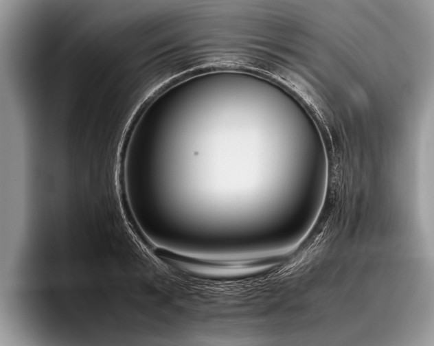 X0000096980799200802081406