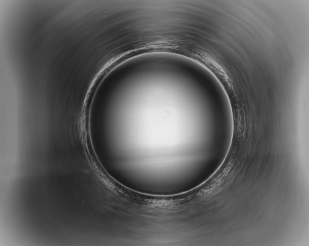 X0000096980800200802081406