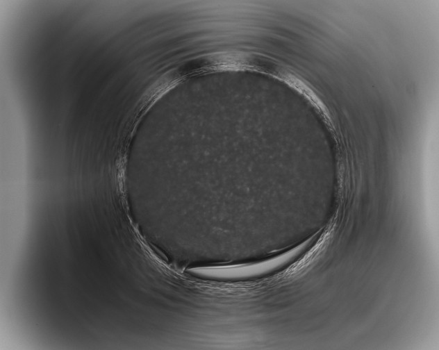 X0000096980801200802081406