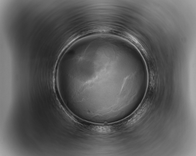 X0000096980802200802081406