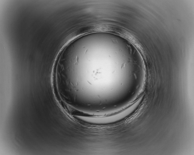 X0000096980803200802081406