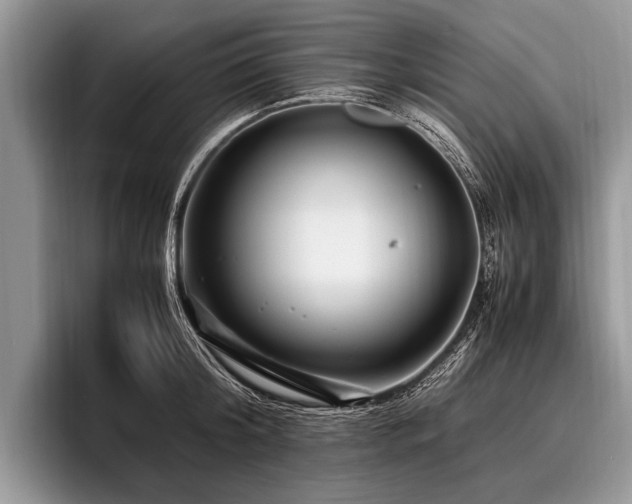 X0000096980804200802081406