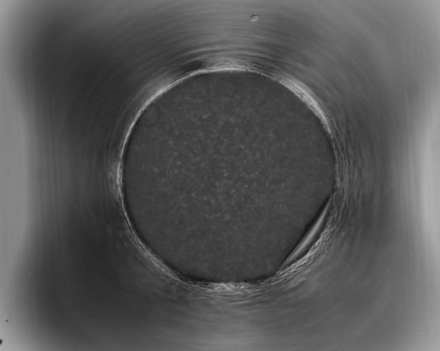 X0000096980805200802081406