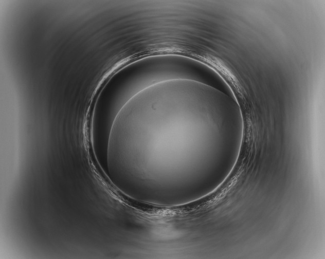 X0000096980806200802081406