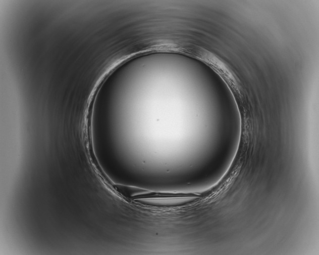 X0000096980808200802081406