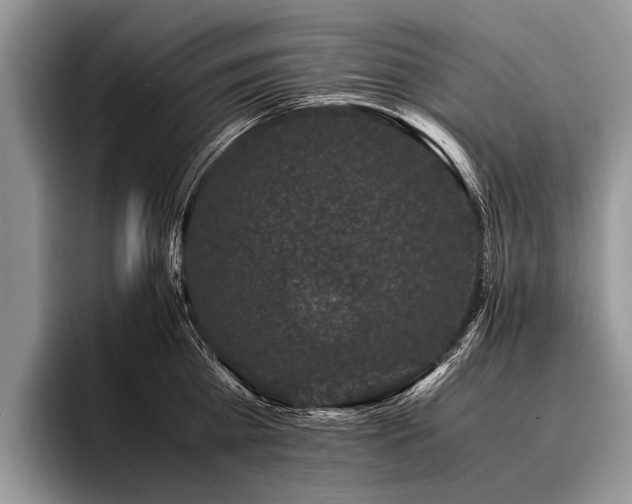 X0000096980809200802081406