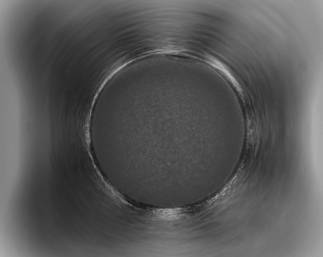 X0000096980810200802081406