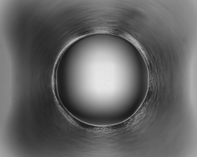 X0000096980811200802081406