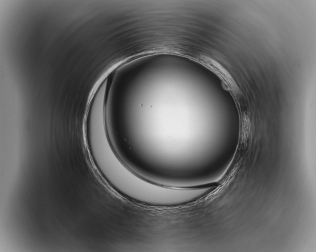 X0000096980812200802081406