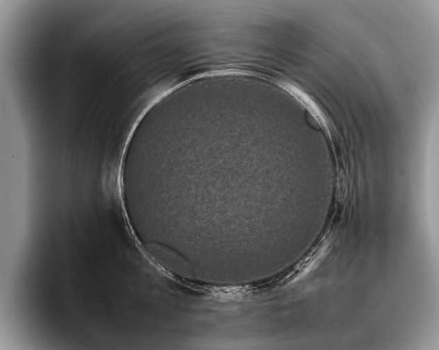 X0000096980813200802081406