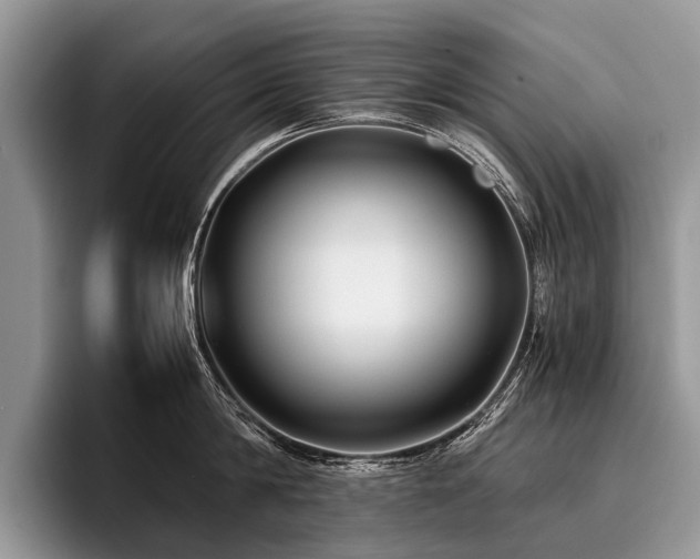 X0000096980814200802081406