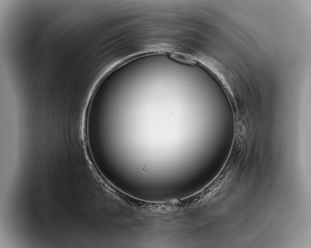 X0000096980815200802081406