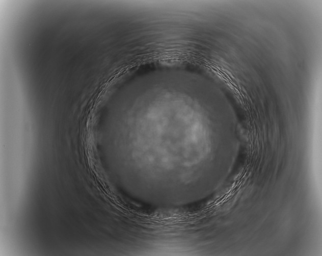 X0000096980817200802081405