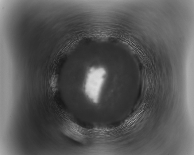 X0000096980818200802081405