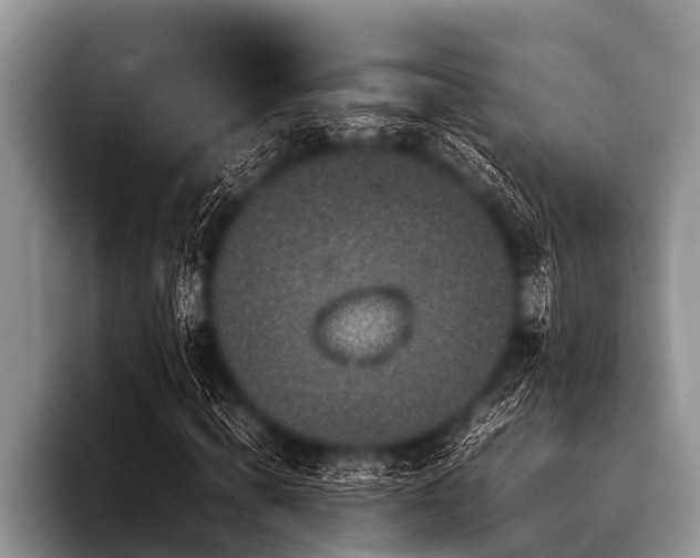 X0000096980820200802081405