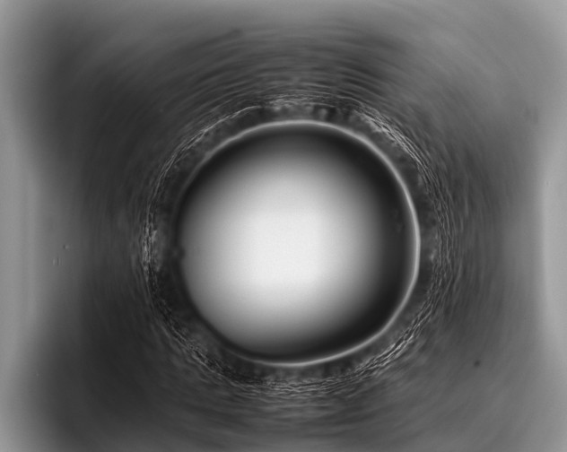 X0000096980821200802081405