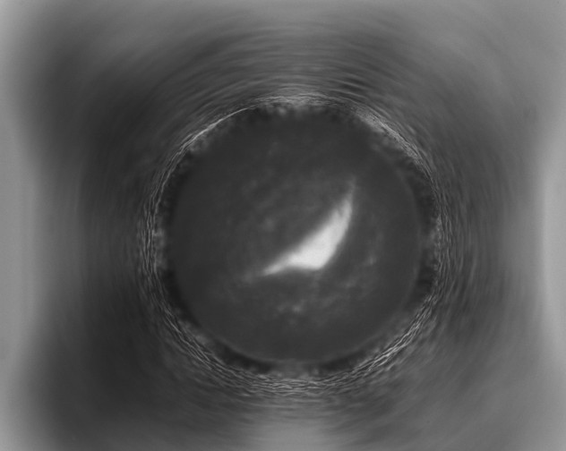 X0000096980822200802081405