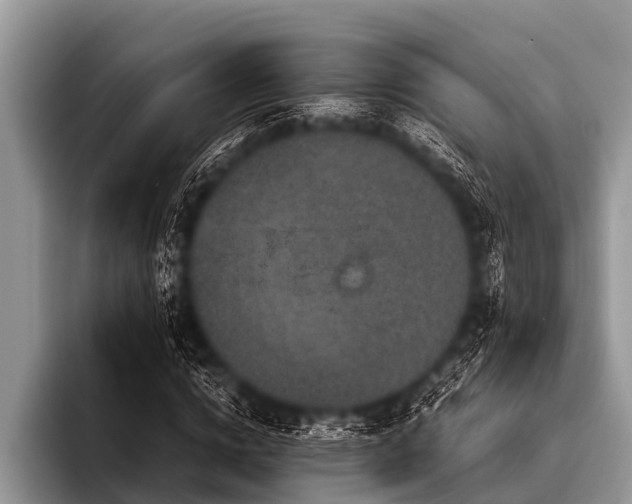 X0000096980824200802081405