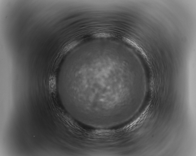 X0000096980825200802081405