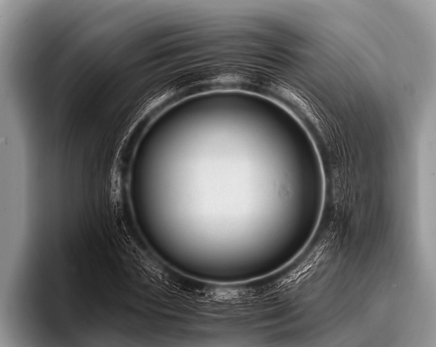 X0000096980827200802081405