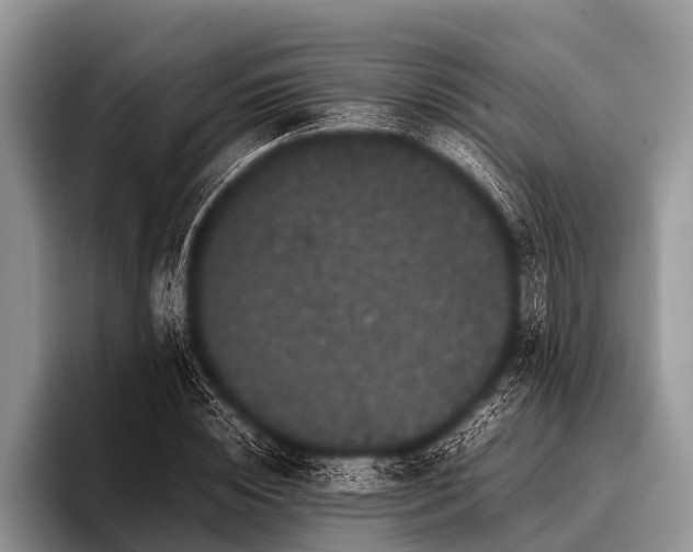 X0000096980828200802081405