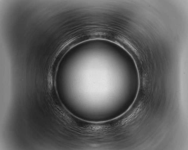 X0000096980829200802081406