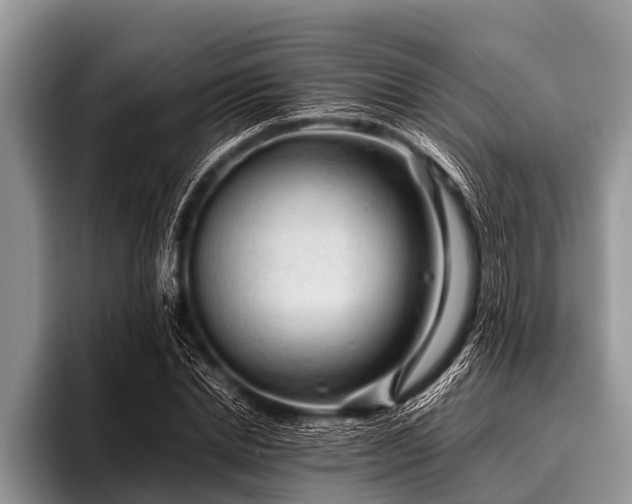 X0000096980830200802081406