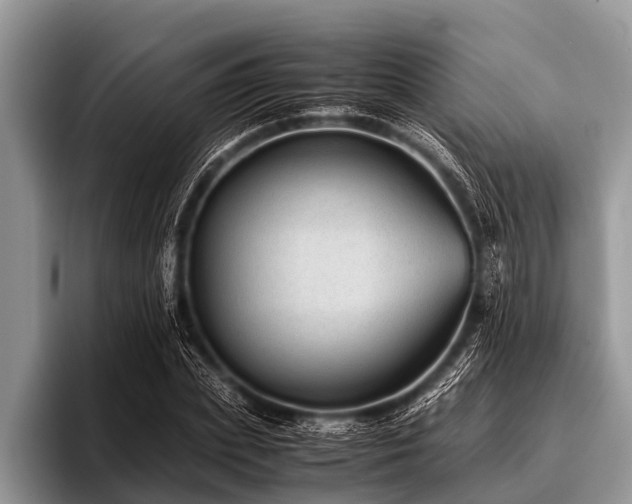 X0000096980831200802081406