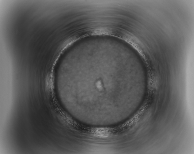 X0000096980832200802081406