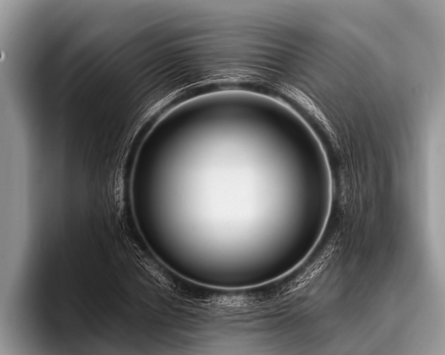 X0000096980834200802081406