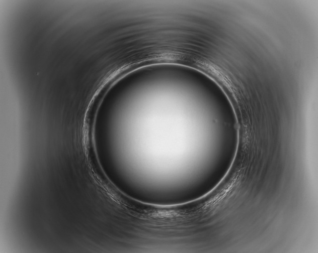 X0000096980835200802081406