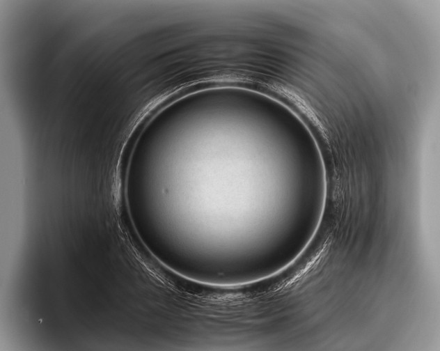 X0000096980837200802081406