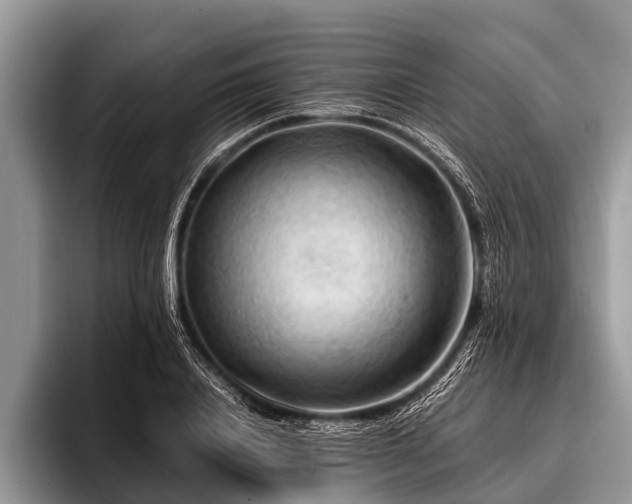 X0000096980840200802081406