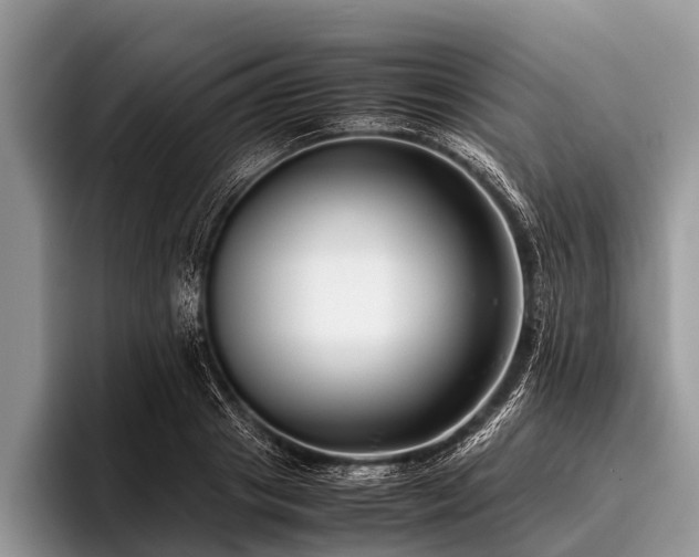 X0000096980841200802081406